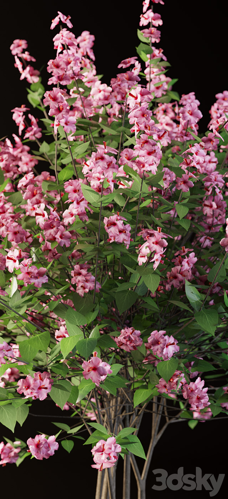 Set flowering shrubs 4 3D Model