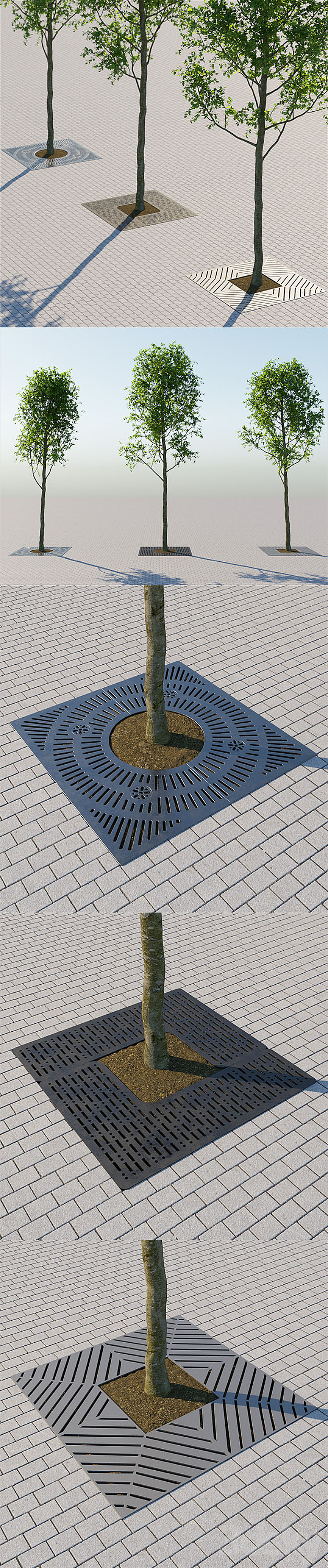 Trees and lattice 3D Model