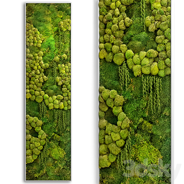 panel jungle