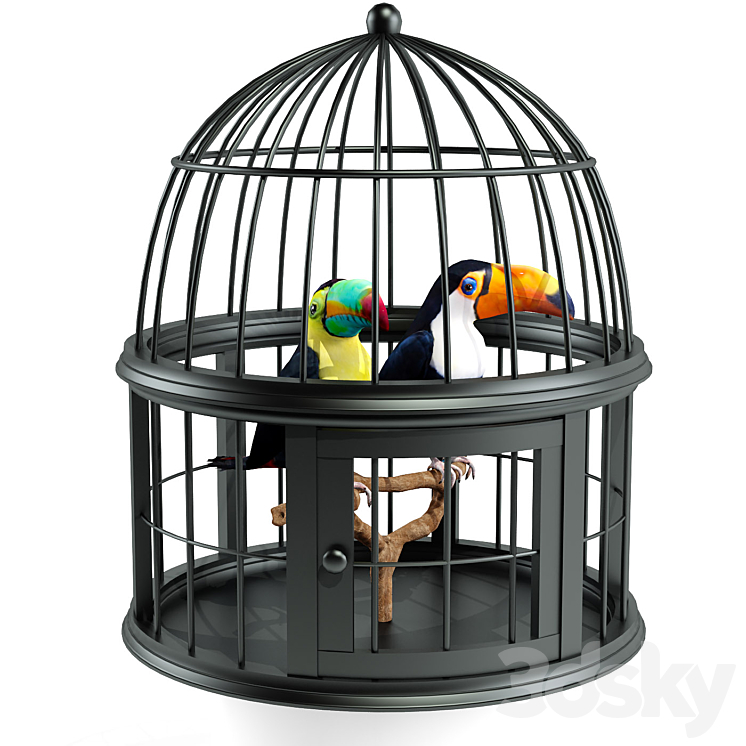 Toucan 3D Model Free
