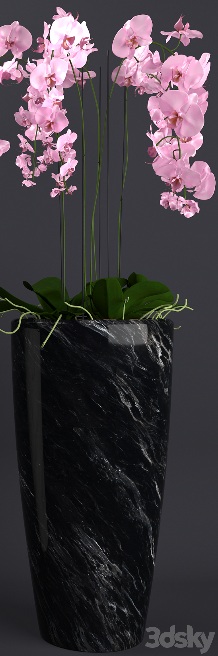 Orchid 4 3DS Max - thumbnail 2