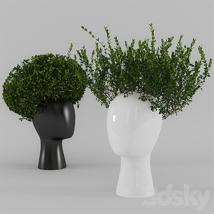 Wig vase with boxwood (part 1) 3DS Max - thumbnail 1