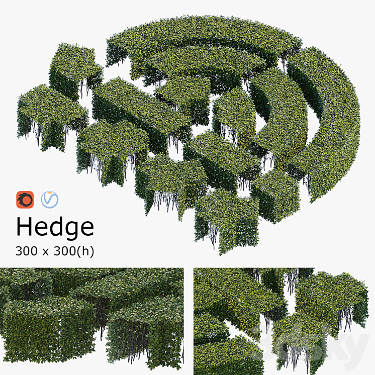 Hedge 3×3 3D Model