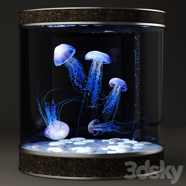 Медуза живая купить. Аквариум с медузами. Домашний аквариум с медузами. Медуза в аквариуме Живая. Круглый аквариум с медузами.