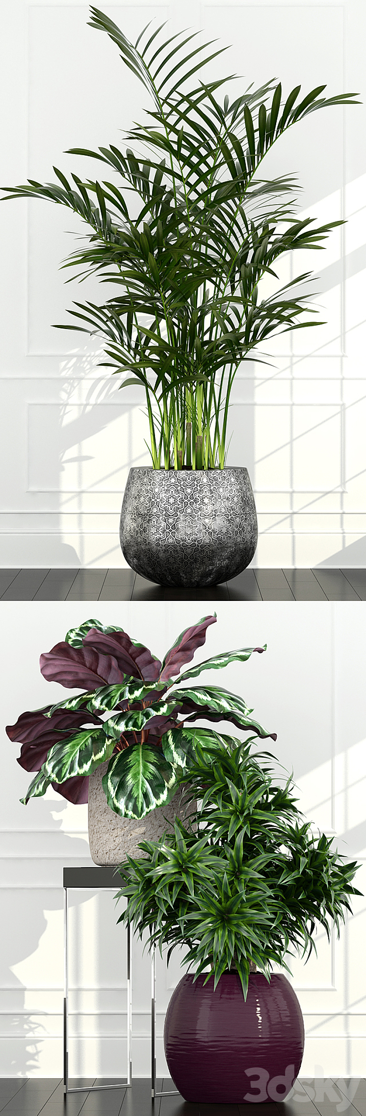 Plants collection 54 3DS Max - thumbnail 2