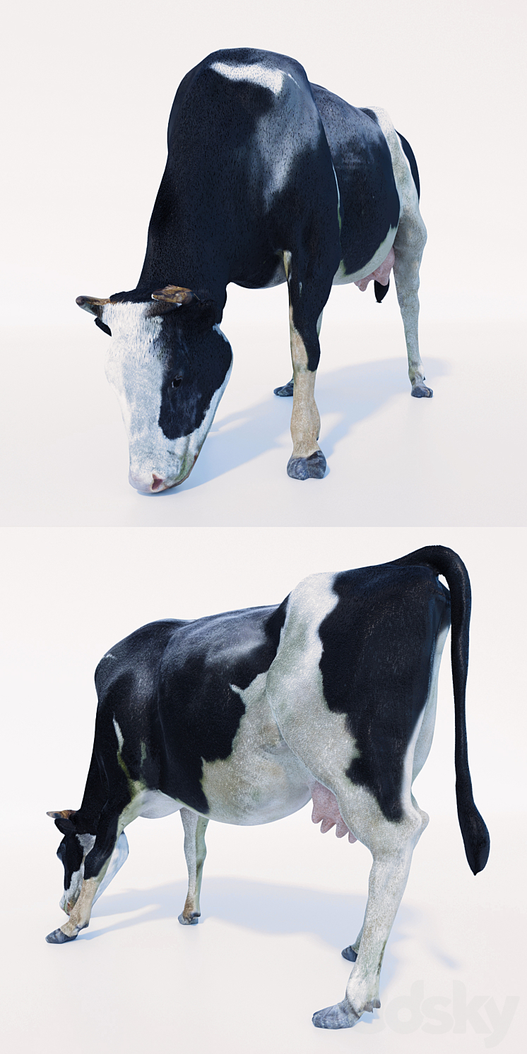 Cow 3D Model