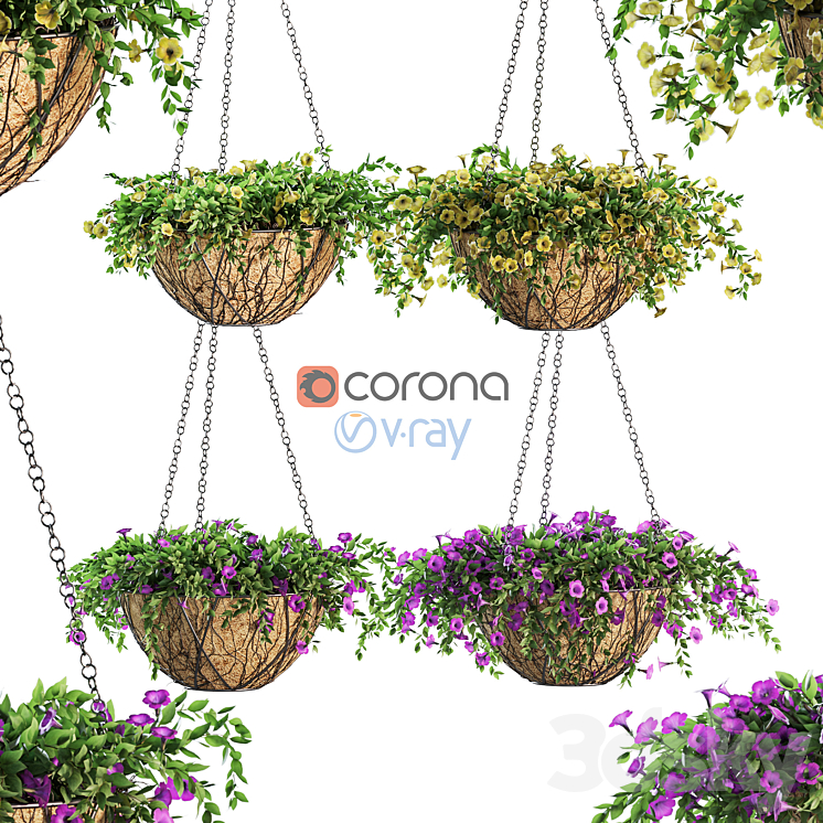 Flowers in a flower pot on a chain. Petunia. 4 models 3DS Max - thumbnail 1