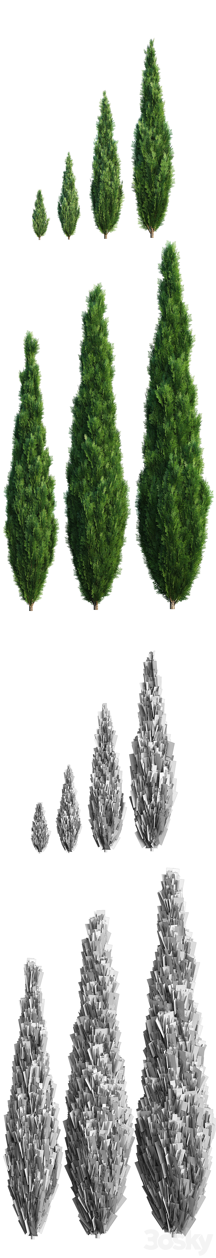 Thuya. Set of 7 models 3D Model