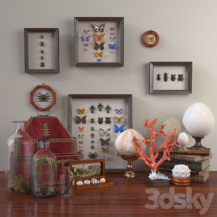 Set of beetles, corals and eggs（model:https:b6.3ddd.rumediacachetuk_model_custom_filter_ang_enmodel_images0000000014721472858.5a