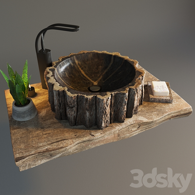 Shell from the petrified tree 3D Model