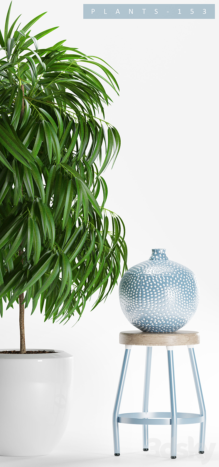 PLANTS 153 3D Model