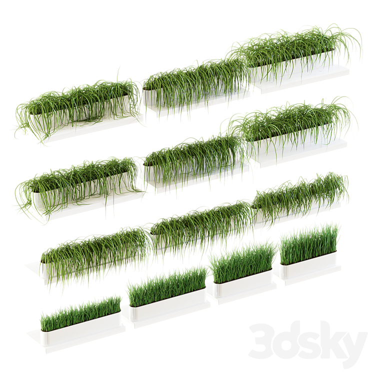 Grass for shelves. 13 models of v2 3DS Max - thumbnail 1