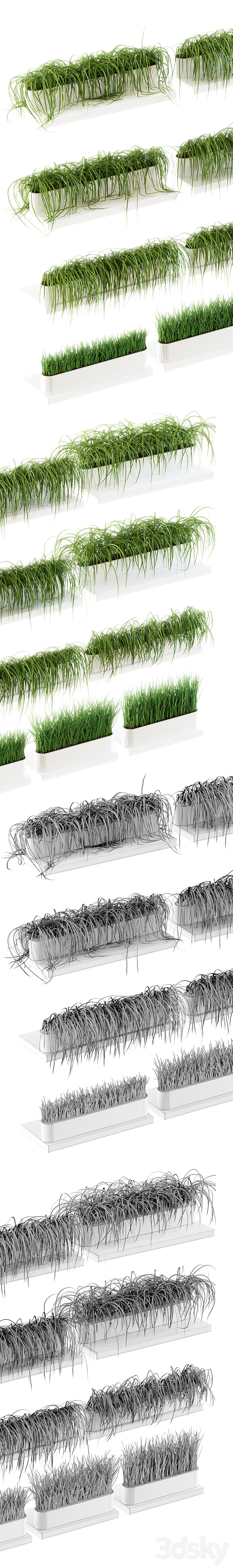 Grass for shelves. 13 models of v2 3DS Max - thumbnail 2