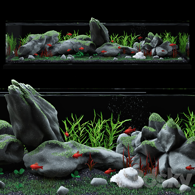 Aquarium 3DS Max - thumbnail 1