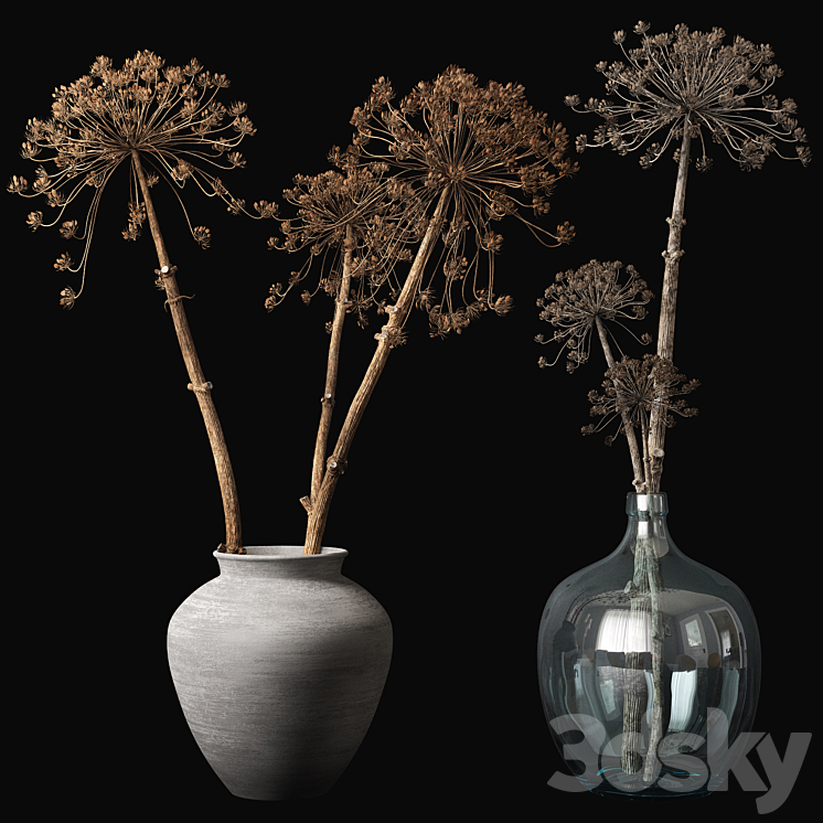 Old heracleum 3DS Max - thumbnail 1