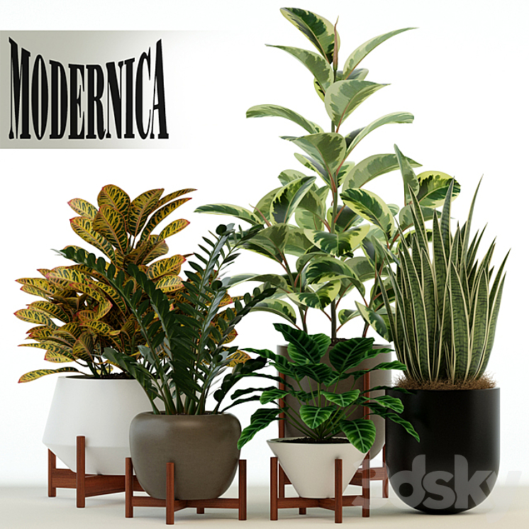 Plants collection 75 Modernica pots 3DS Max - thumbnail 1
