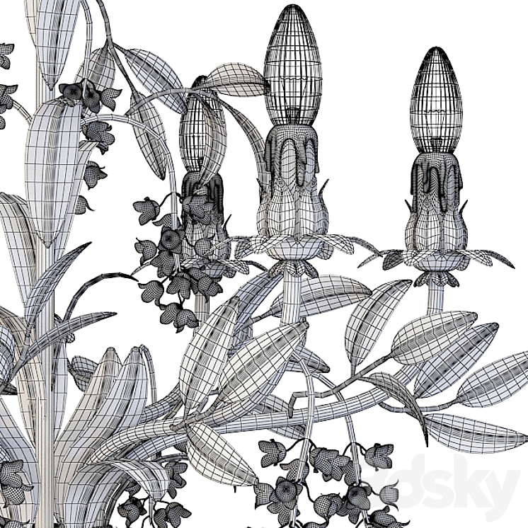 Passeri International 3D Model