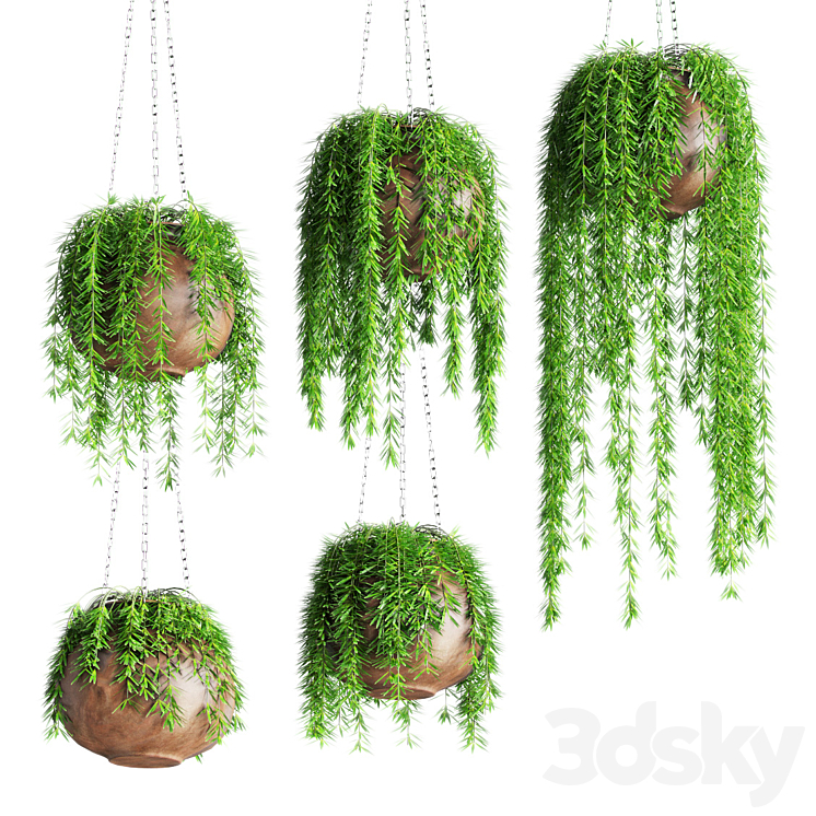 Hanging plants in pots 3DS Max - thumbnail 1
