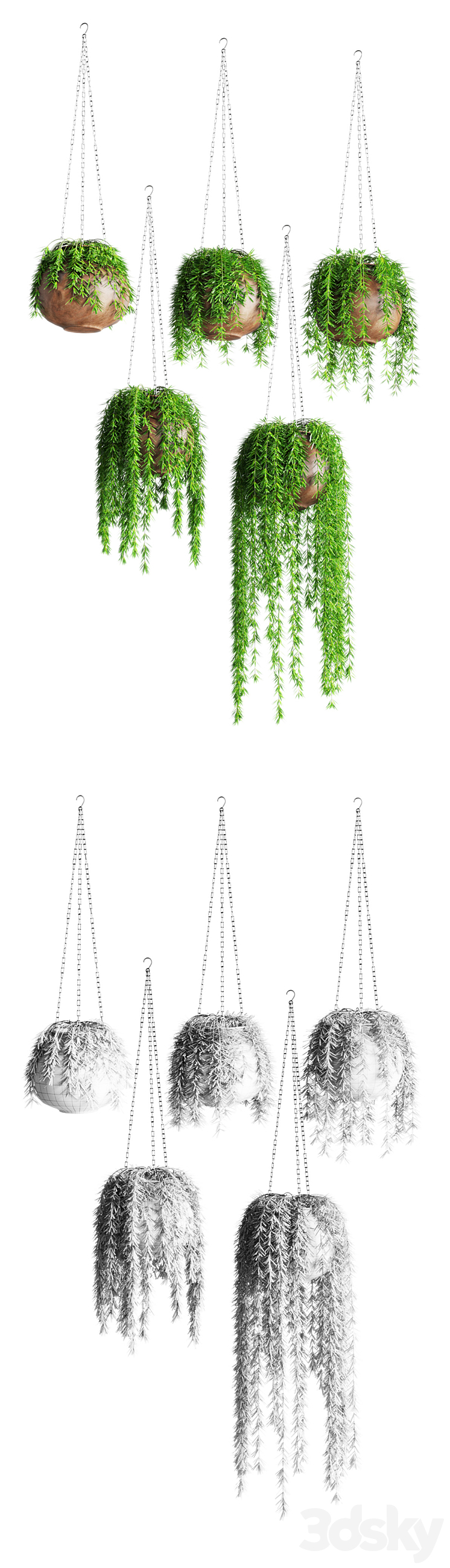 Hanging plants in pots 3DS Max - thumbnail 2