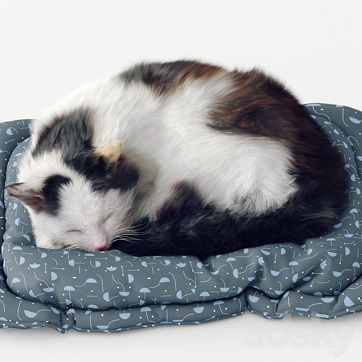 Fluffy cat 3D Model