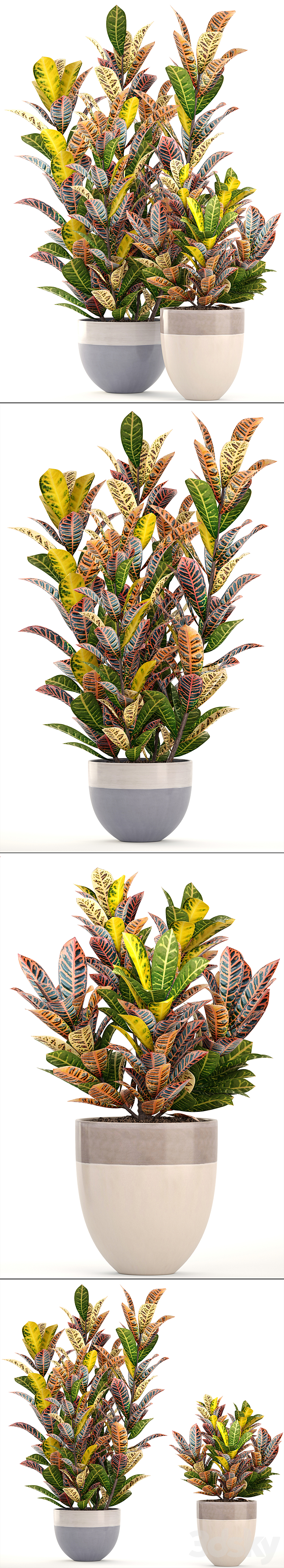 Collection of plants. Croton Flowerpot tree bush interior indoor decorative exotic plants 3DS Max - thumbnail 2
