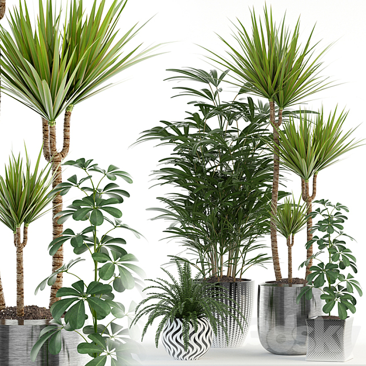 Plants collection 90 3DS Max - thumbnail 1