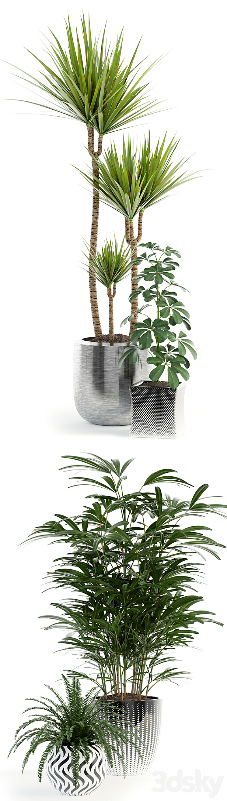 Plants collection 90 3DS Max - thumbnail 2