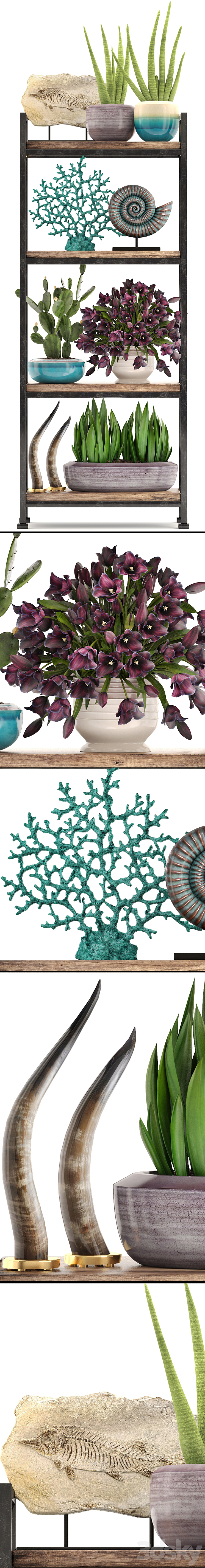 Decorative set. 7th. Shelf decor coral tulips shelf with flowers horn 3D Model