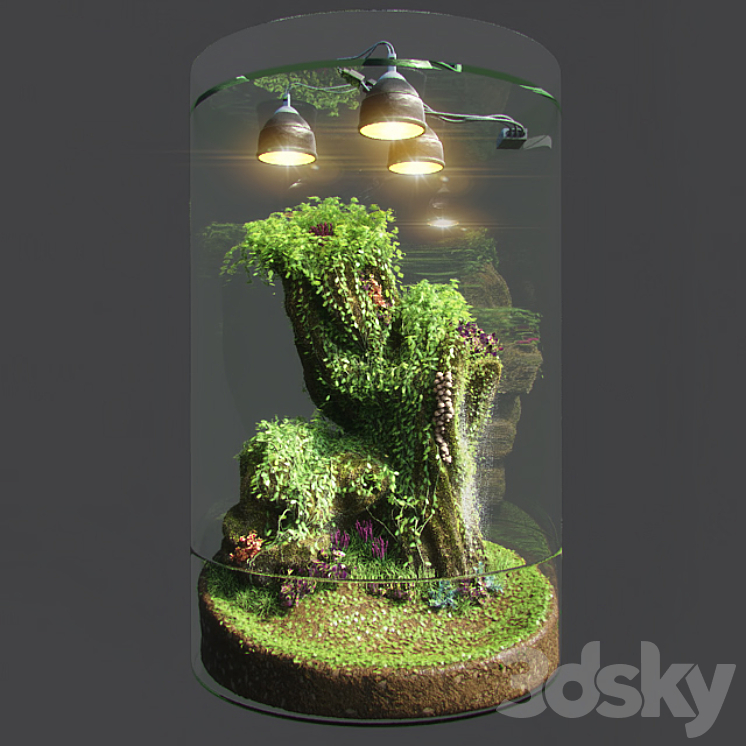 Dwarf Florarium