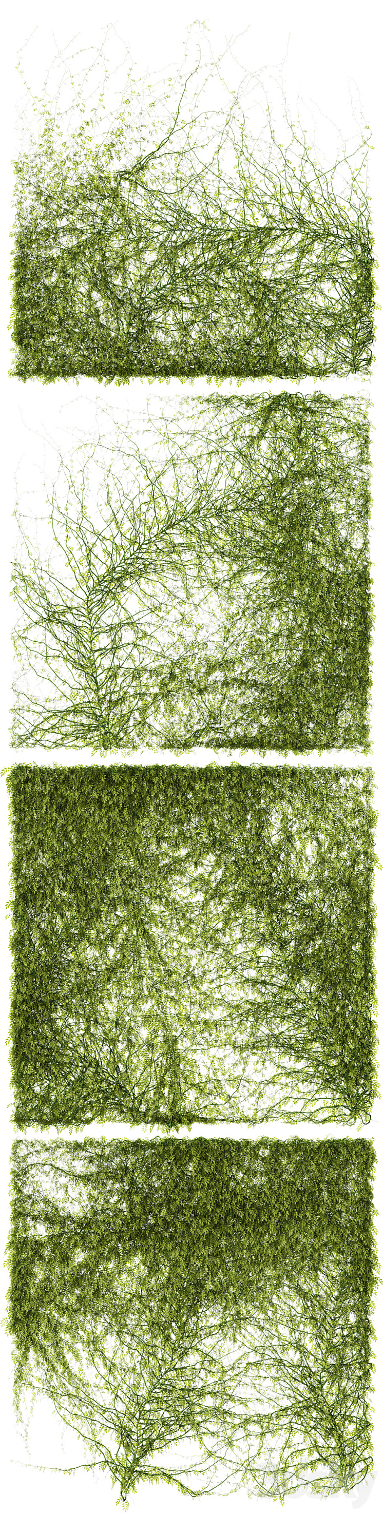 Leaves for walls v3 3D Model
