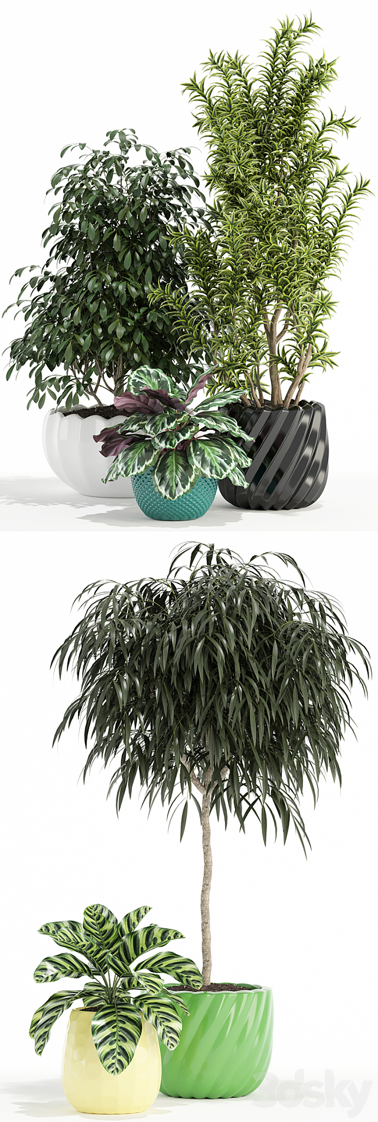 Plants collection 111 3DS Max - thumbnail 2