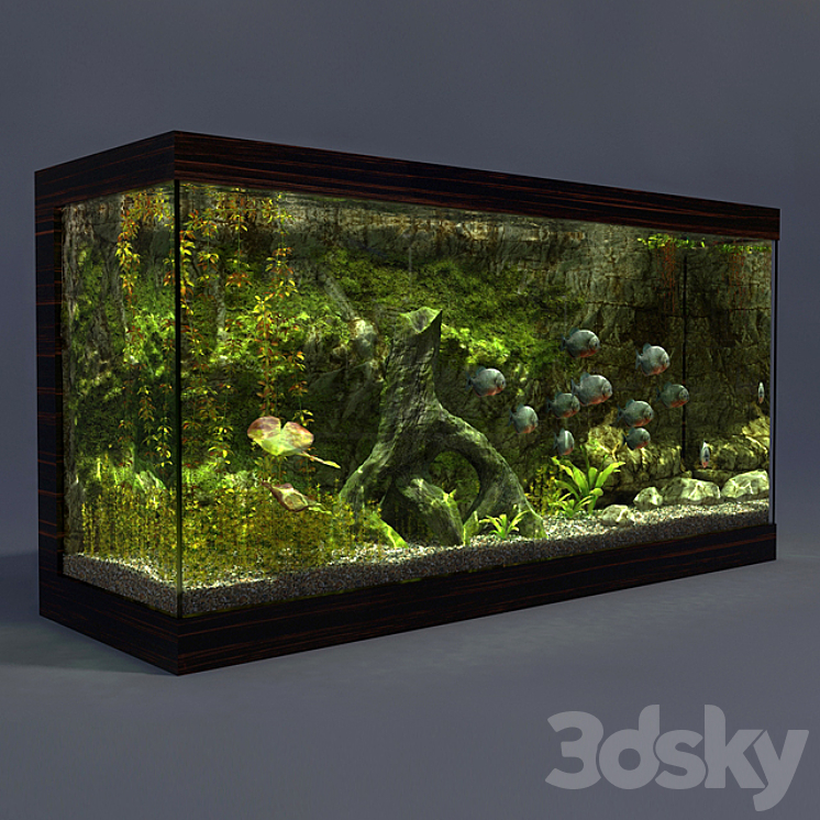 Aquarium 3DS Max - thumbnail 2