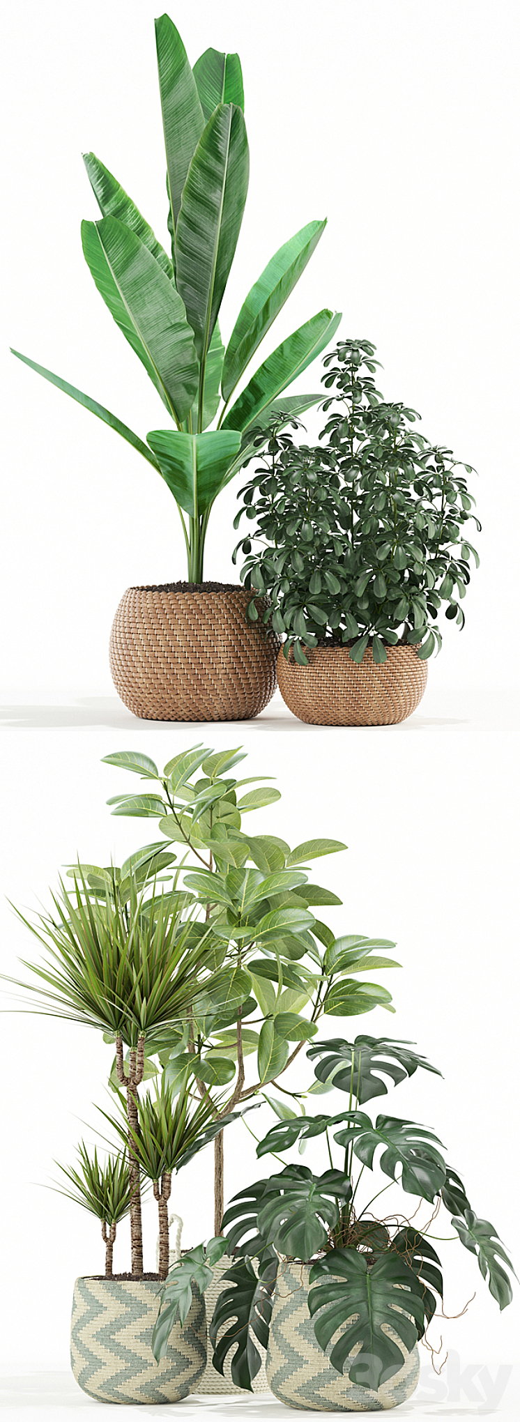 Plants collection 116 3D Model