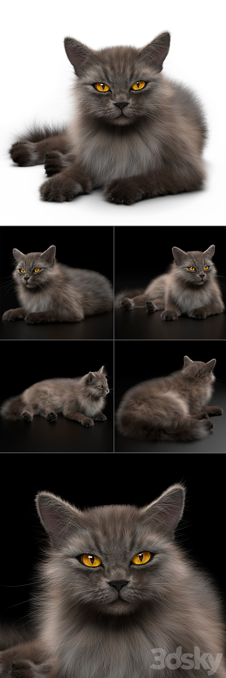 CAT 4 VRay 3D Model