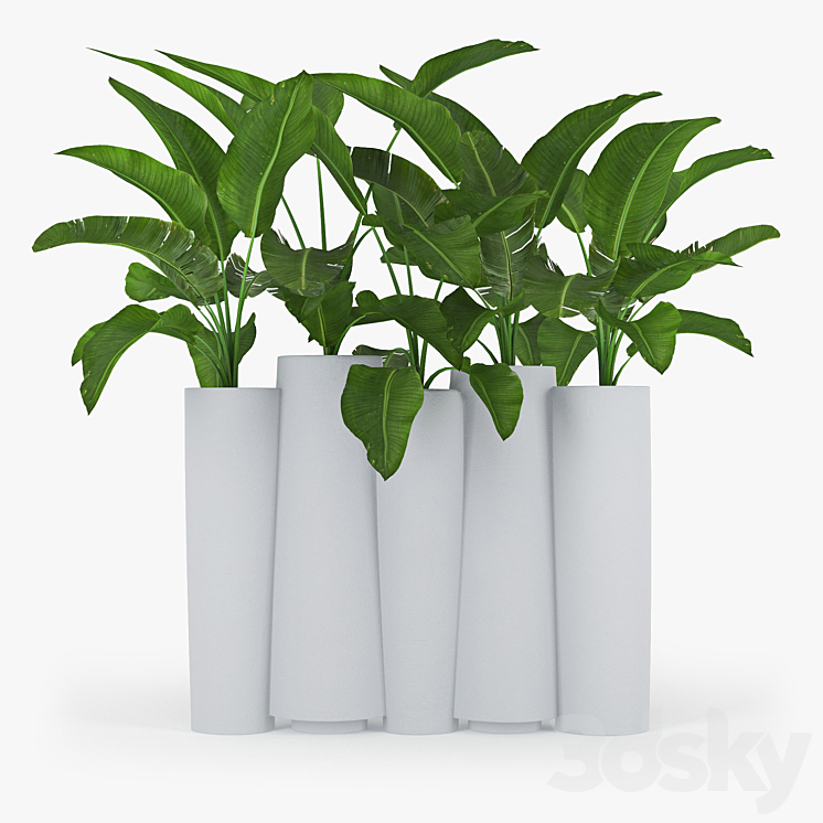 BAMBOO by Slide banana 3D Model