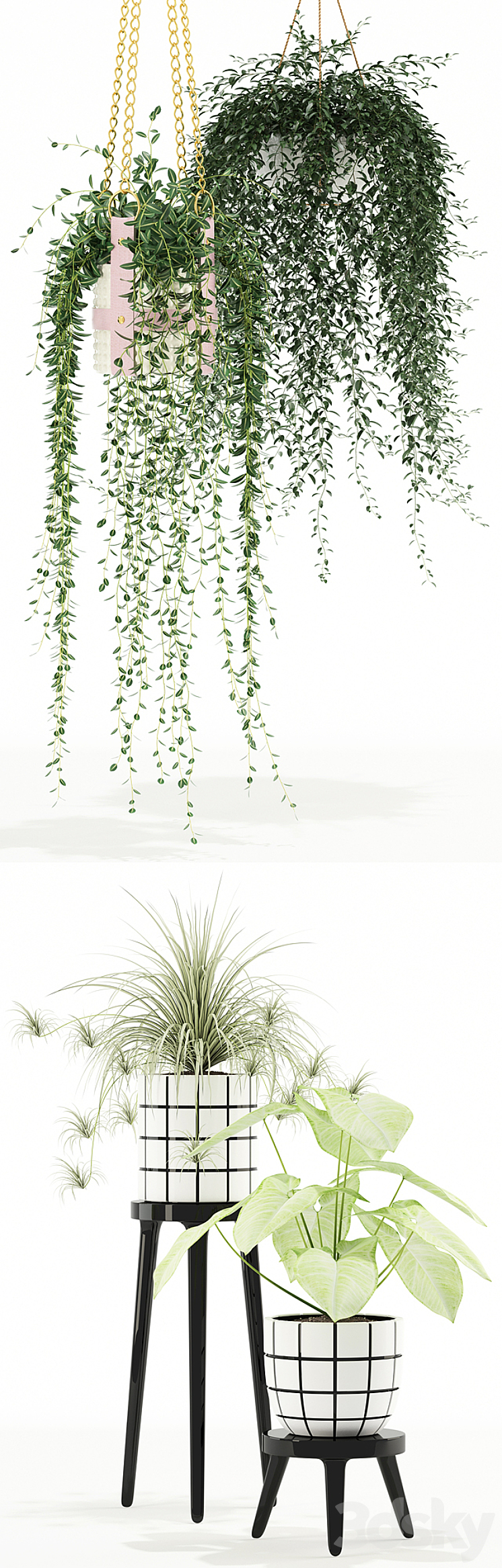 Plants collection 121 3D Model