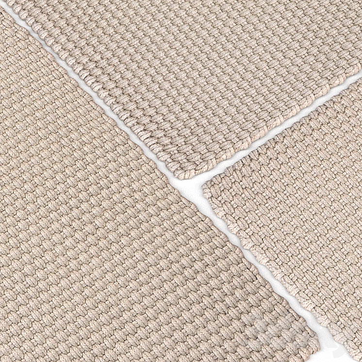 Dash & Albert Rope Platinum Rug 3D Model