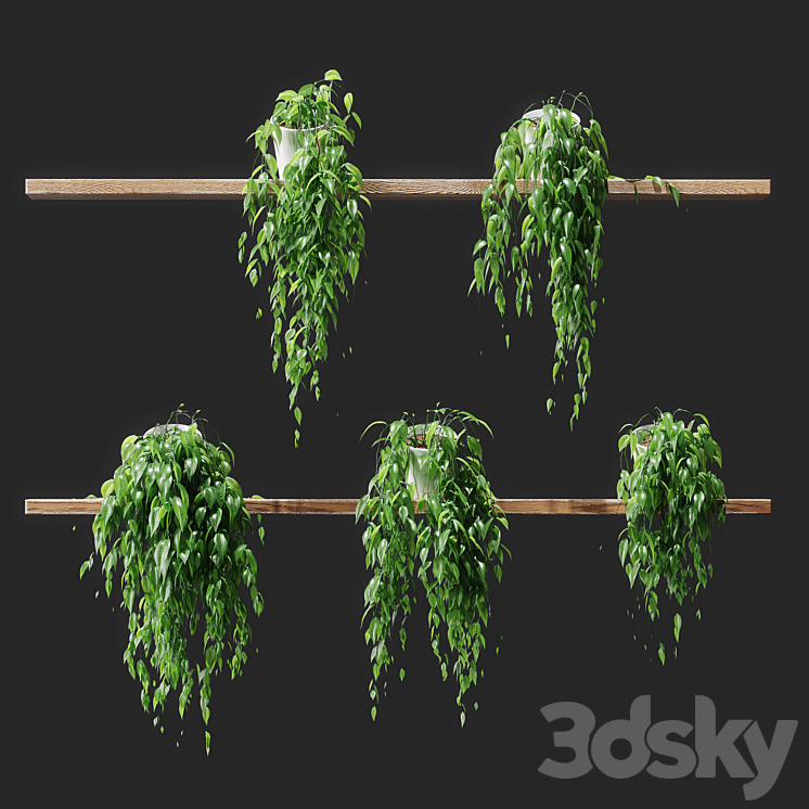 Potted plants on shelves 3DS Max - thumbnail 1