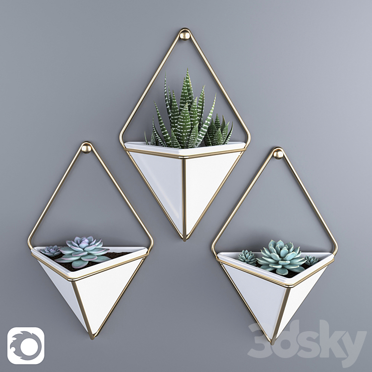 Succulents in hanging pots Umbra trigg 3DS Max - thumbnail 1