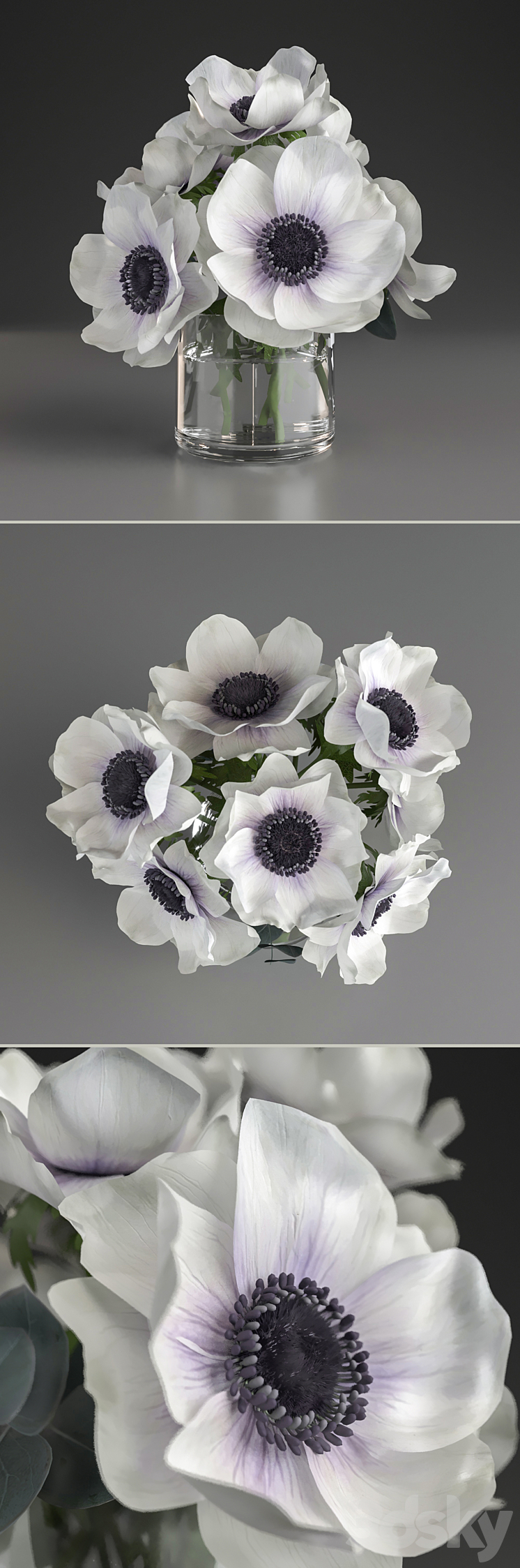 Bouquet of anemone 3D Model