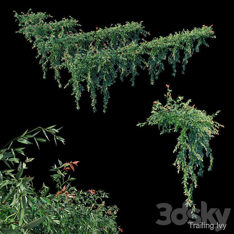 Trailing ivy 3DS Max - thumbnail 1