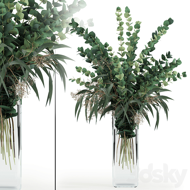 Eucalyptus in tall vase 3DS Max - thumbnail 1