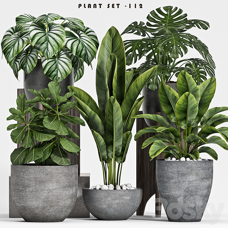 plant set-112 3DS Max - thumbnail 1