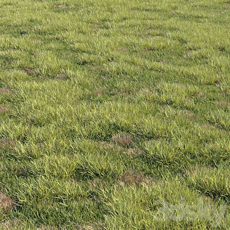Grass kit 2