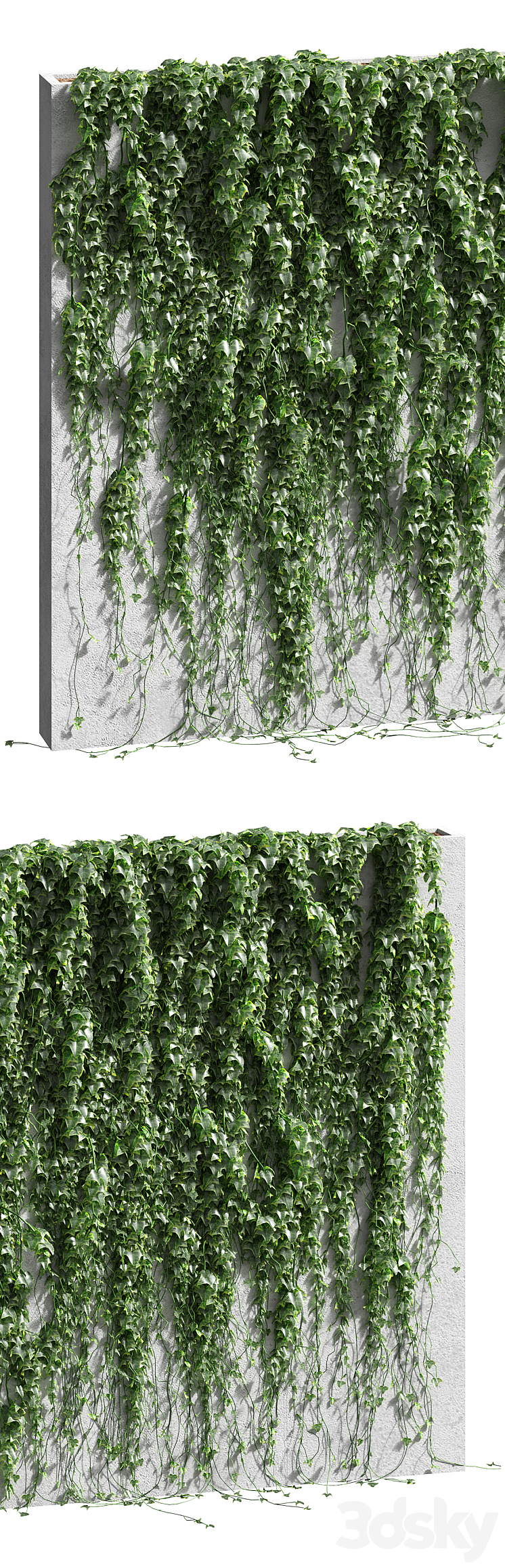 Ivy for the fence v2 3DS Max - thumbnail 2