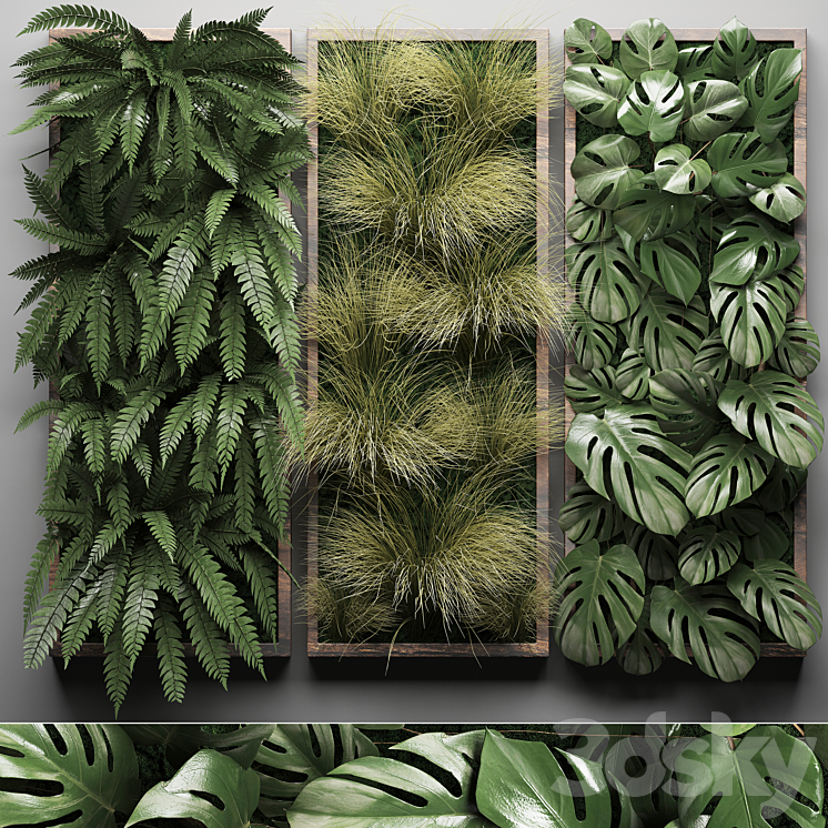 Vertical garden 29. Phytowall picture grass fern monstera wall decor phytomodule vertical garden 3DS Max - thumbnail 1