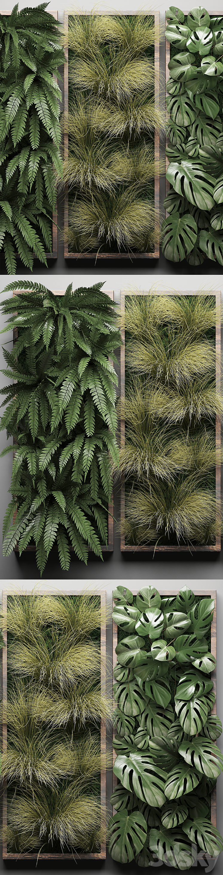 Vertical garden 29. Phytowall picture grass fern monstera wall decor phytomodule vertical garden 3DS Max - thumbnail 2