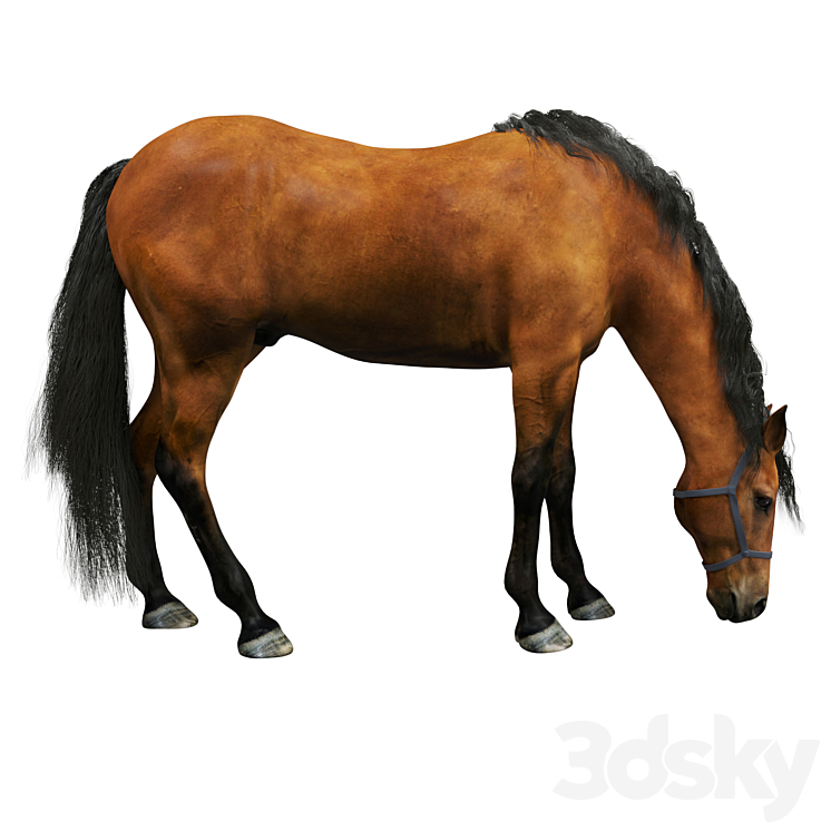 Horse 3DS Max - thumbnail 1