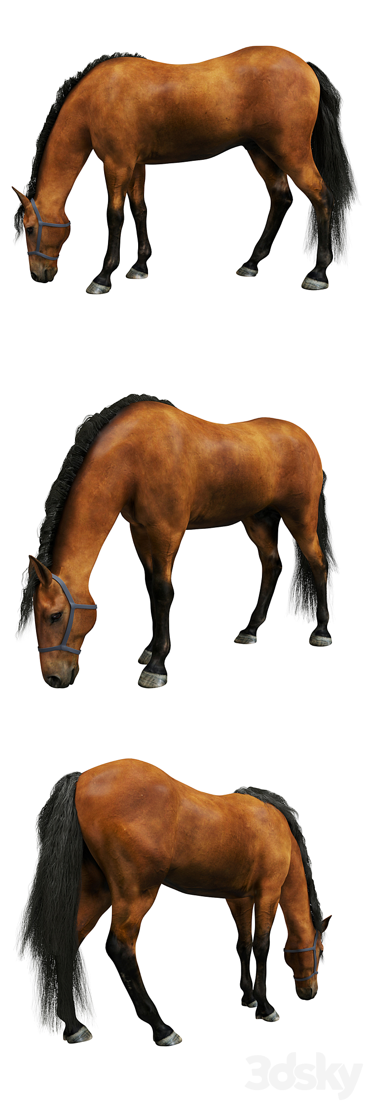 Horse 3DS Max - thumbnail 2