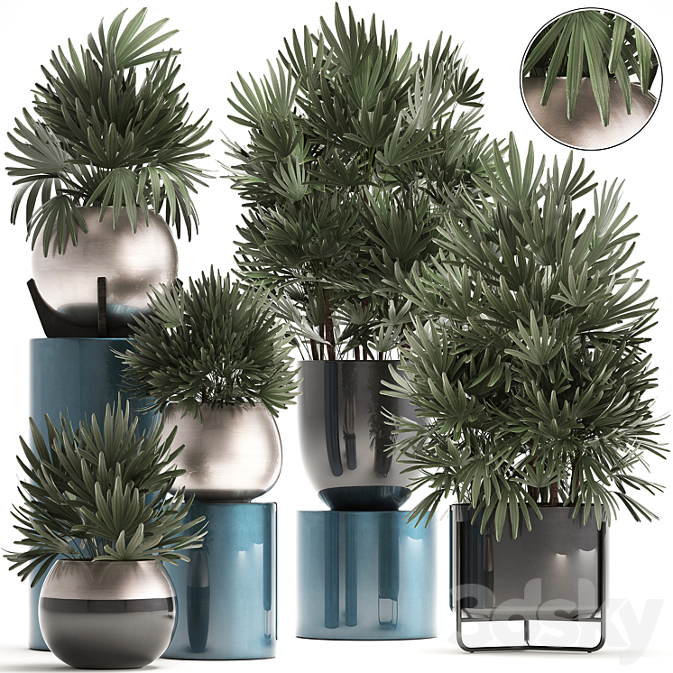 Plant collection 299. Interior palm tree rapis pot flowerpot luxury pot bushes thickets Raphis Palm stylish plants 3DS Max - thumbnail 1